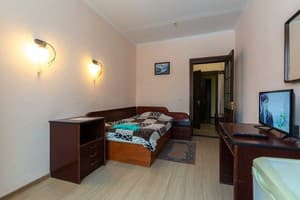 Спа-отель Алексик. Стандарт одноместный  1