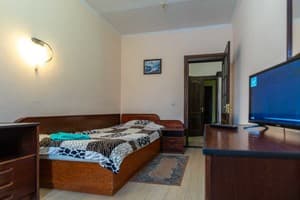 Спа-отель Алексик. Стандарт одноместный  6