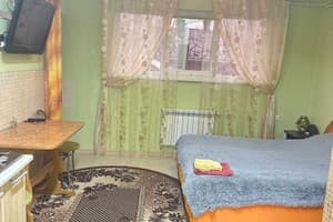 Квартира Частный дом. Апартаменты двухместный с кухней 3