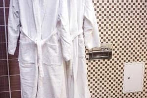 Отель GREEN PARK HOTEL&SPA. Делюкс двухместный  6