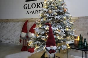 Glory 32