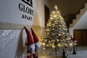 Glory 40