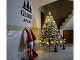 Glory 40