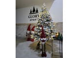 Glory 1