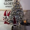 Glory 3-4/43