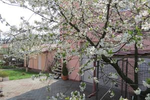 Апарт-отель Green Hill. Апартаменты трехместный  9