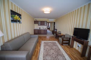 Туристический комплекс Лесная Песня. Полулюкс двухместный  8