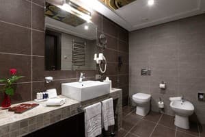 Спа-отель Mirotel Resort & Spa. Люкс двухместный Премьер 2