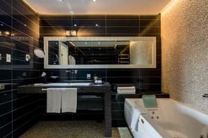 Спа-отель Mirotel Resort & Spa. Люкс двухместный Президентский  3