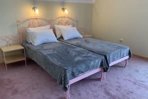 Гостиный двор РиОни. Эконом двухместный  3