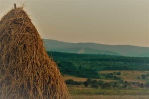 Вилла Villa Family House Truskavets. Коттедж 6-местный  31