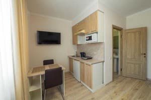 Отель Villa Zhanna Central Park. Студио двухместный с балконом 4