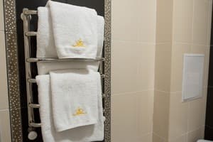 Отель Золотая Корона. Стандарт двухместный double 5